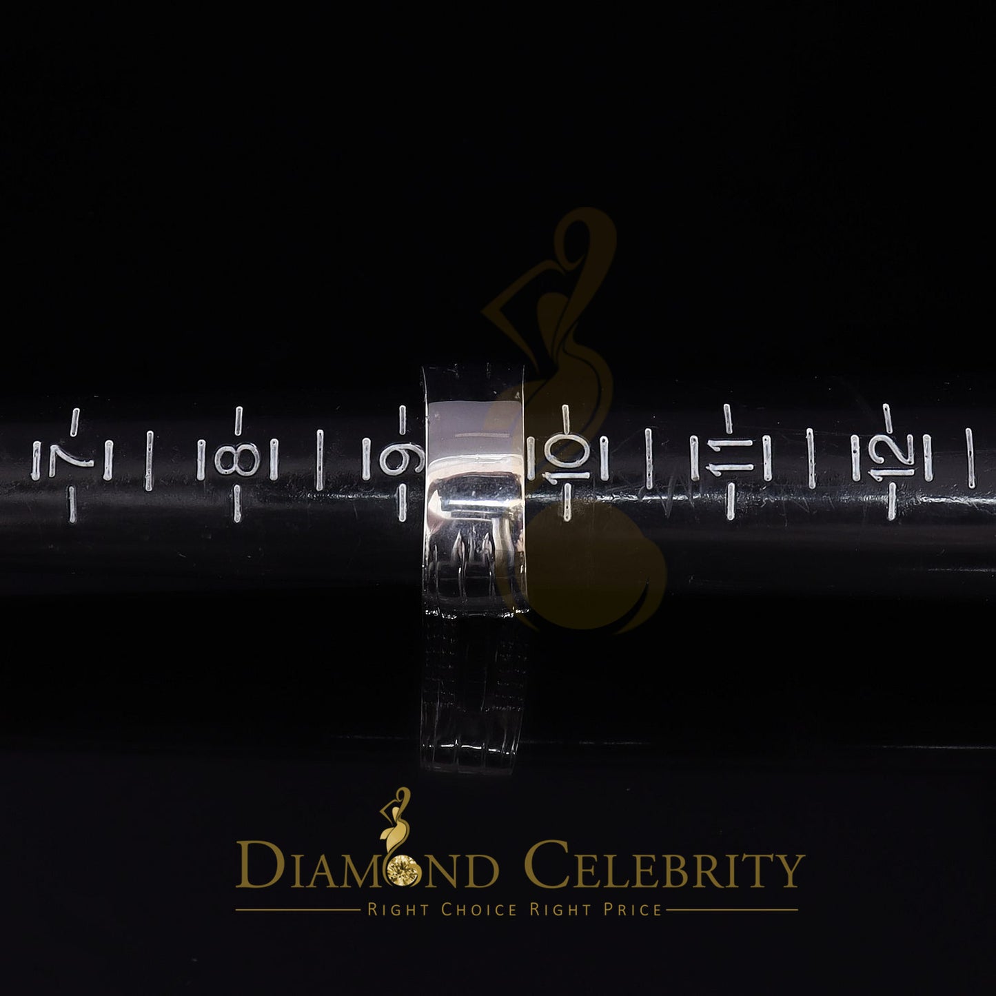 DiamondCelebritees Sterling White Silver 4.50ct Cubic Zirconia Band Fashion Men's Ring Size 9.5