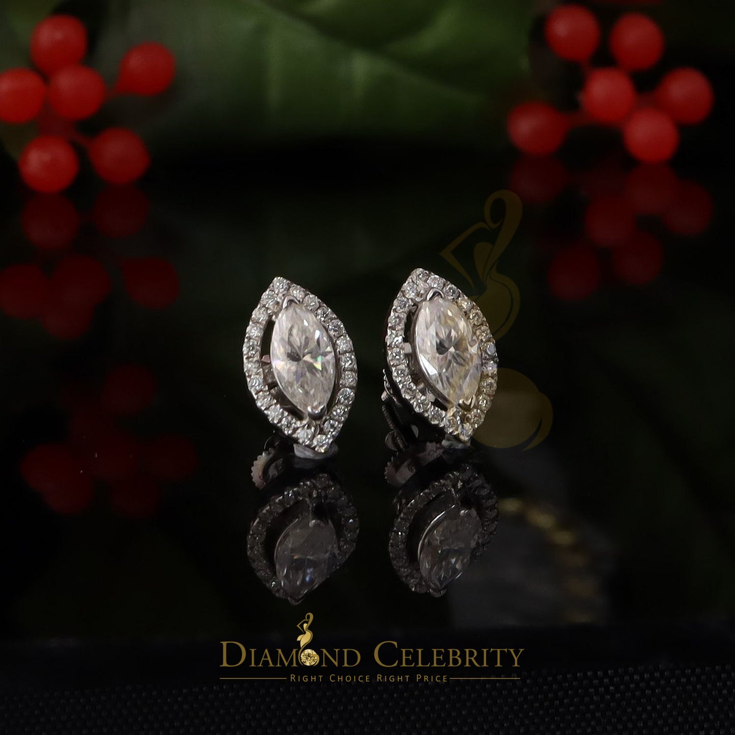 Diamondcelebritees Men's/Women's 925 Silver White 2.50 ct VVS 'D' Moissanite Stud Earrings