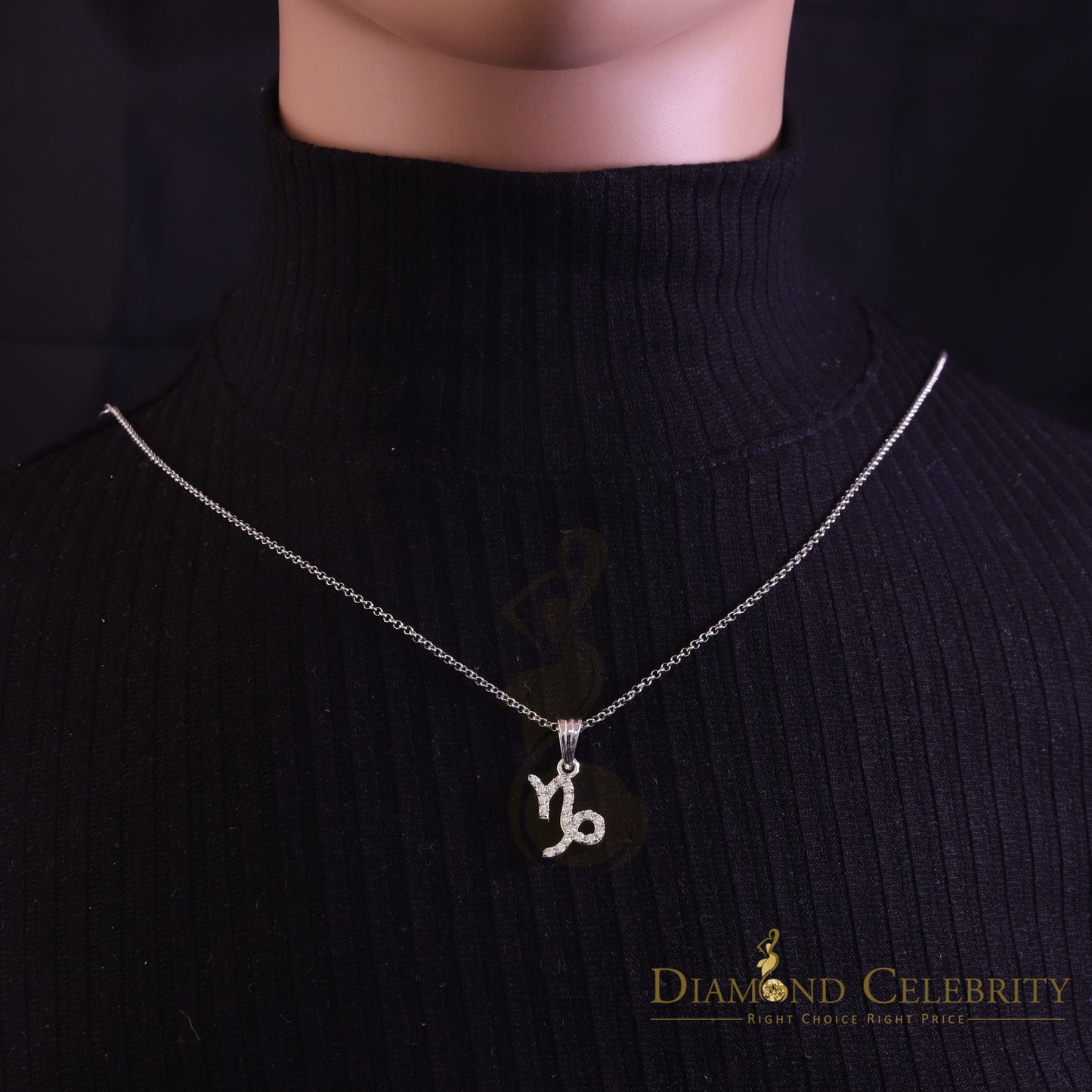 DiamondCelebritees 0.50ct Cubic Zirconia White Silver CAPRICORN JANUARY Month Pendant Men & Women