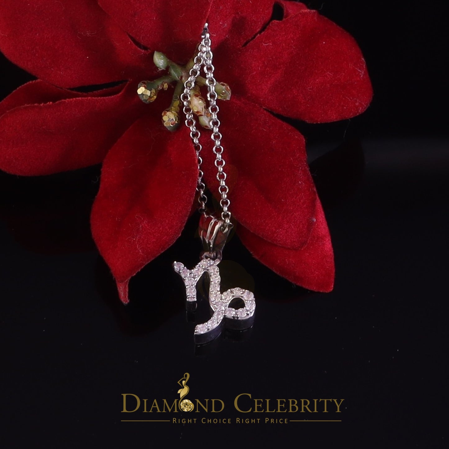 DiamondCelebritees 0.50ct Cubic Zirconia White Silver CAPRICORN JANUARY Month Pendant Men & Women