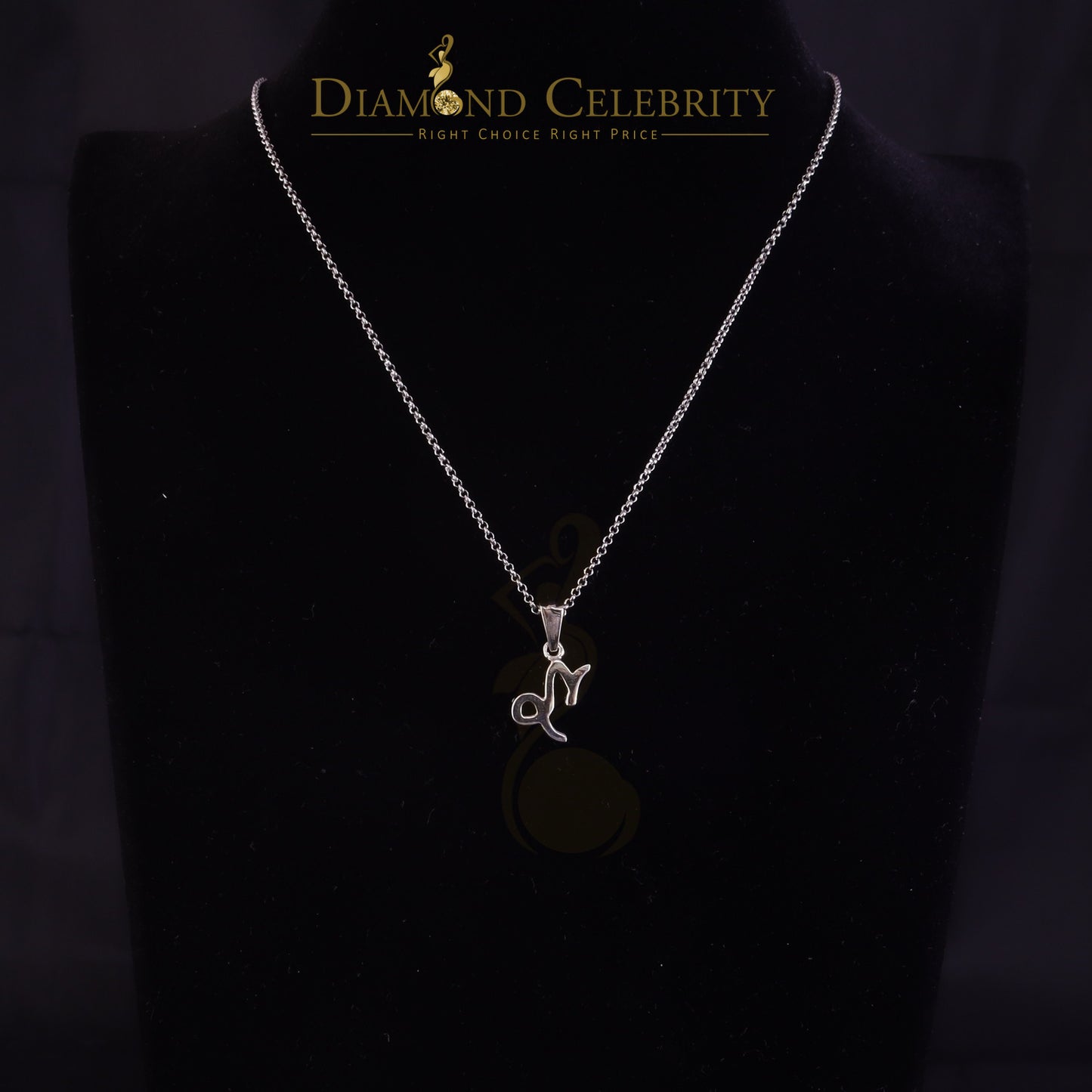 DiamondCelebritees 0.50ct Cubic Zirconia White Silver CAPRICORN JANUARY Month Pendant Men & Women