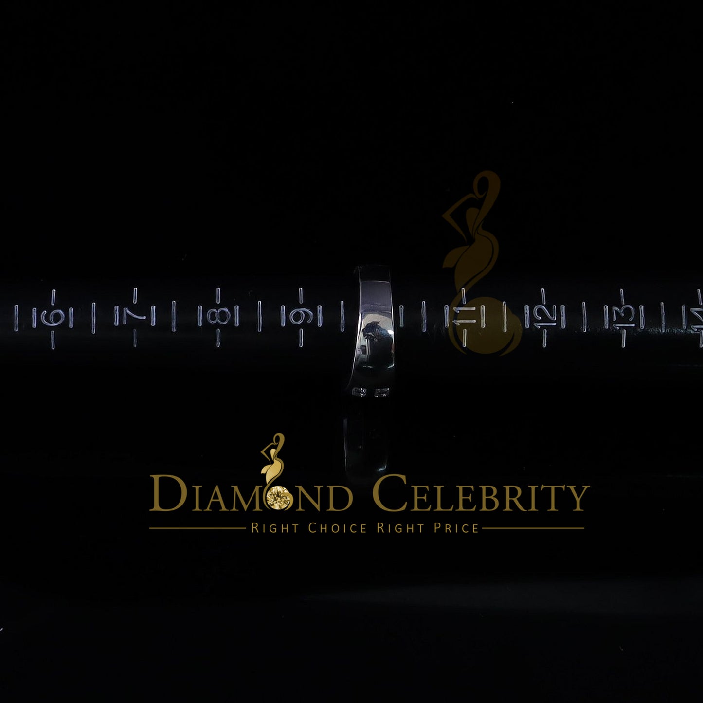 DiamondCelebritees Sterling White Silver Round 3.42ct Cubic Zirconia Round Men's Ring Size 10