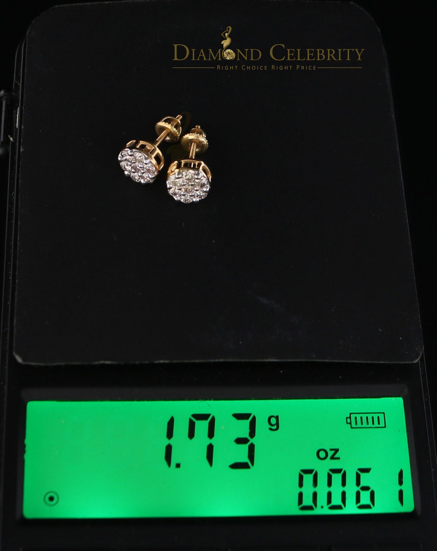 DiamondCelebritees Men's/Women's 10K Real Yellow Gold with 0.75CT Real Diamond Stud Earrings