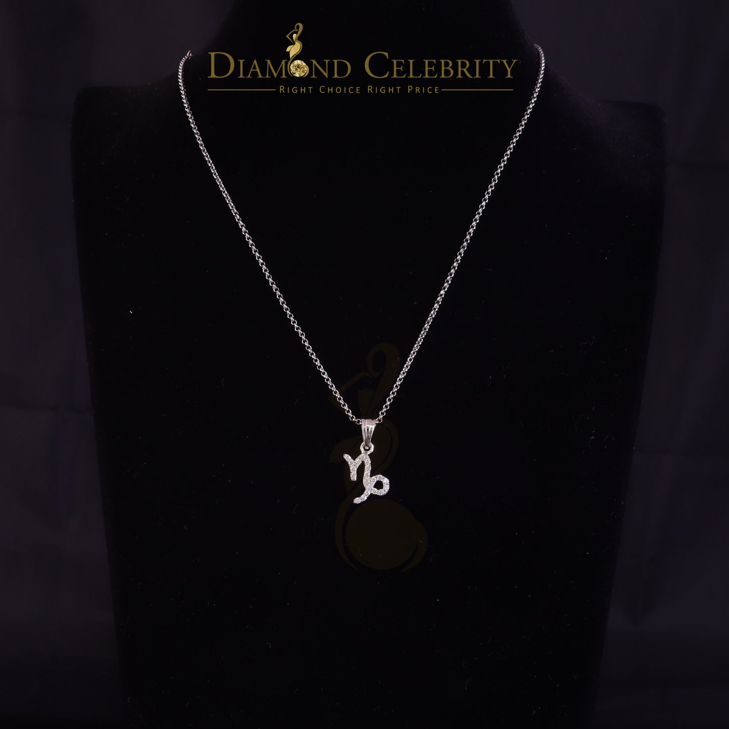 DiamondCelebritees 0.50ct Cubic Zirconia White Silver CAPRICORN JANUARY Month Pendant Men & Women