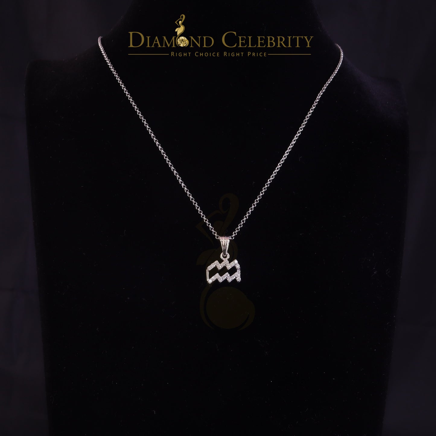 DiamondCelebritees 0.50ct Cubic Zirconia White Silver AQUARIUS FEBRUARY Month Pendant Men & Women