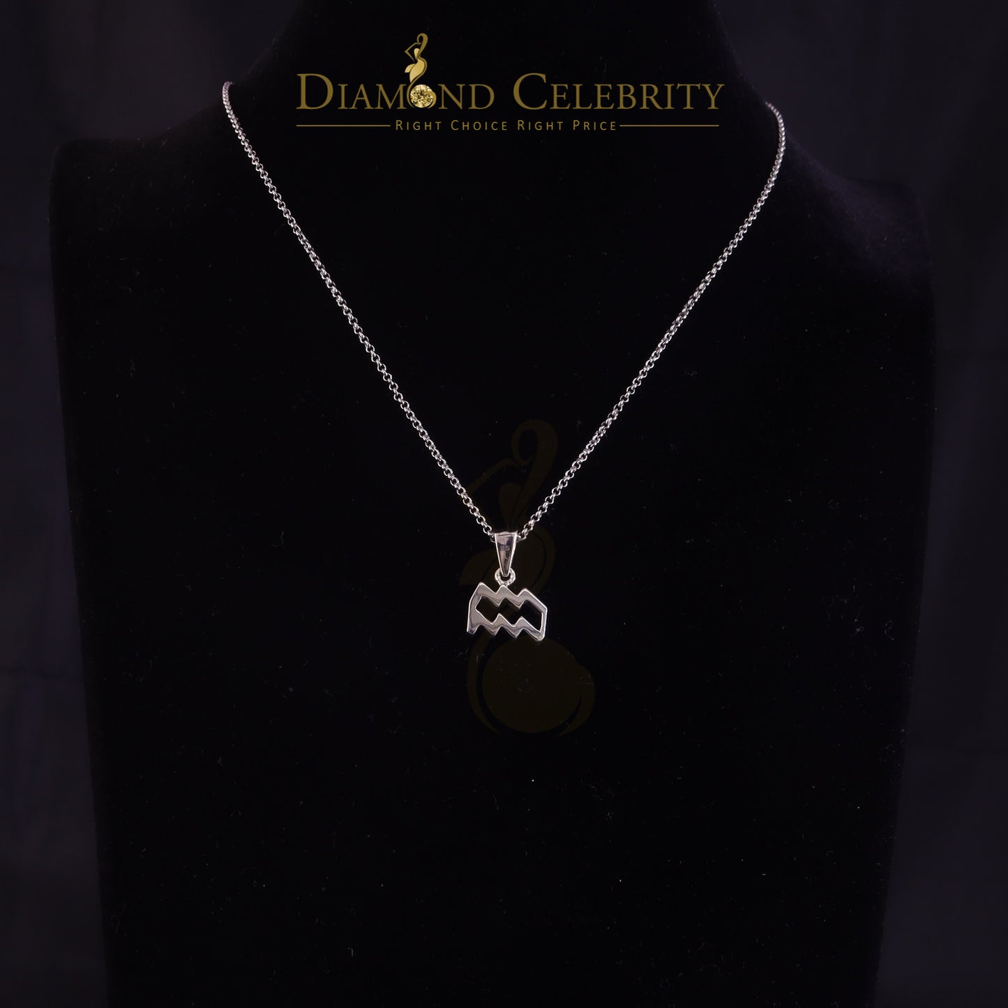 DiamondCelebritees 0.50ct Cubic Zirconia White Silver AQUARIUS FEBRUARY Month Pendant Men & Women