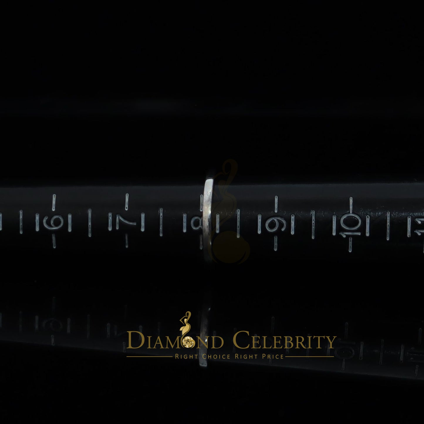 DiamondCelebritees 1.20ct Wedding White Ring For Women 925 Sterling Silver Cubic Zirconia Size 8