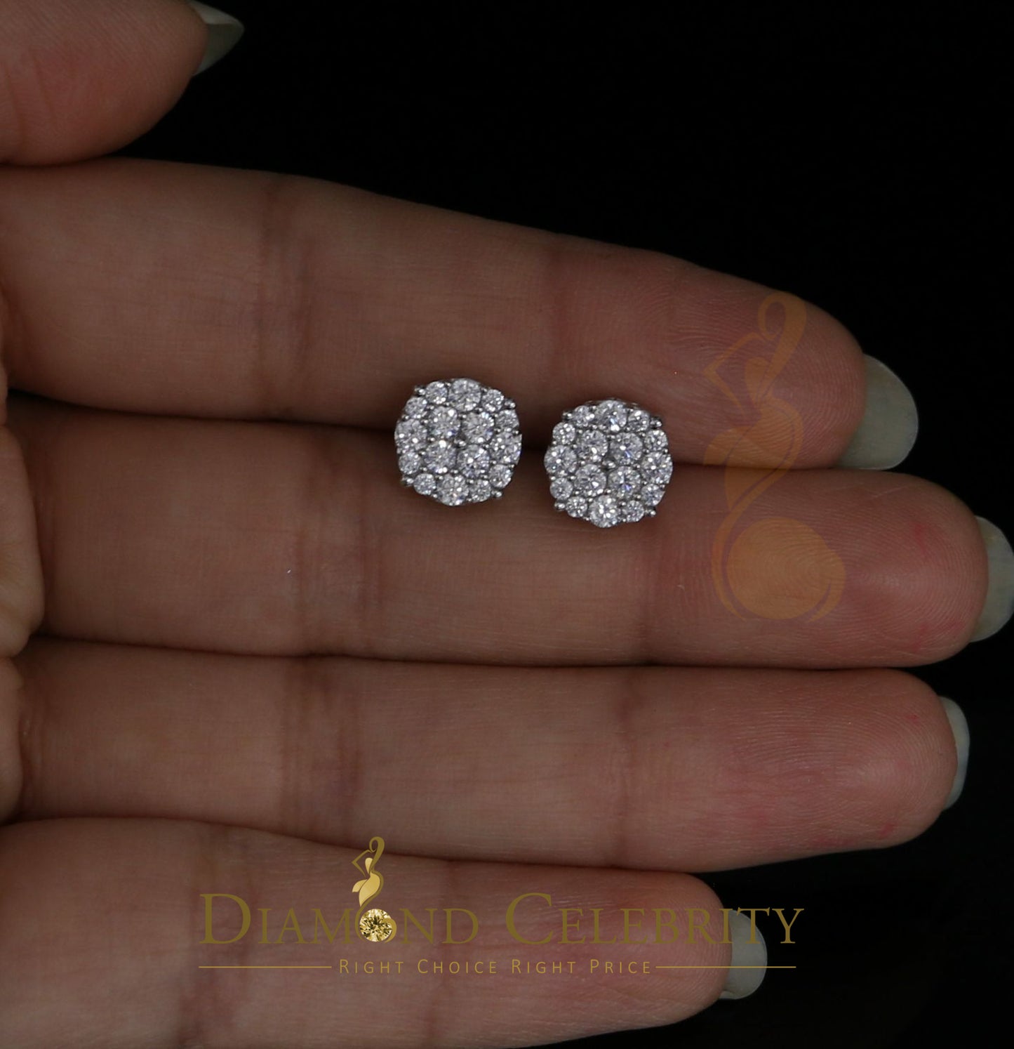 DiamondCelebritees  925 Sterling White Silver 2.0ct Cubic Zirconia Round Women's Stud Earrings