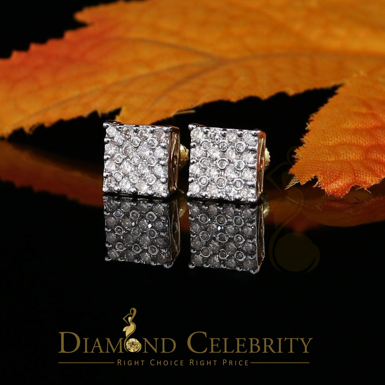 DiamondCelebritees 10K Real Yellow Gold with 1.00CT Real Diamond Men's/Women's Stud Earrings